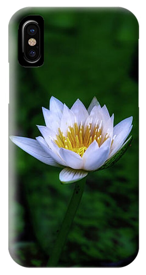 Lily iPhone X Case featuring the photograph White Lotus by Jade Moon