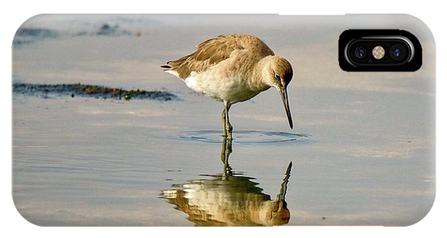 Brown iPhone X Case featuring the photograph Willet Sees its Reflection by Susan Rydberg