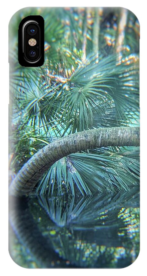 Trees iPhone X Case featuring the photograph Witnessing Nature by Portia Olaughlin