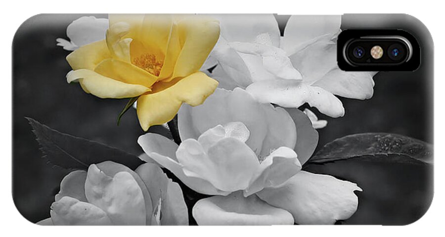 Rose iPhone X Case featuring the photograph Yellow Rose Cluster Partial Color by Smilin Eyes Treasures