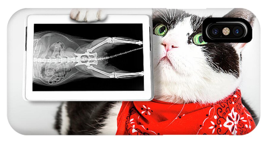 X Ray iPhone X Case featuring the photograph Cat with X ray plate #1 by Benny Marty