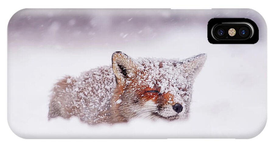 Red Fox iPhone X Case featuring the photograph 50 Shades of White and a Touch of Red by Roeselien Raimond