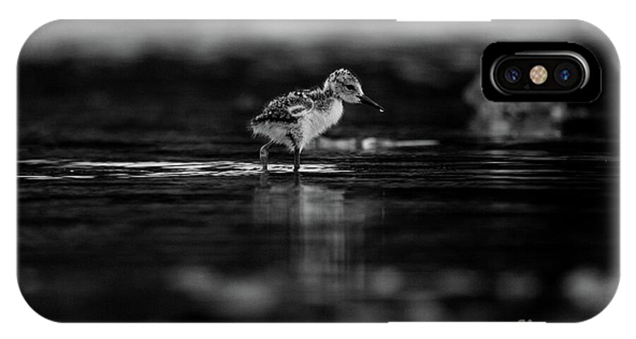 Black-necked Stilt iPhone X Case featuring the photograph First Steps by John F Tsumas
