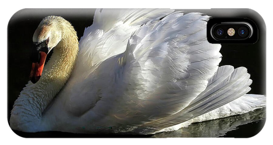 Swan iPhone X Case featuring the photograph Beautiful Display by Donna Kennedy