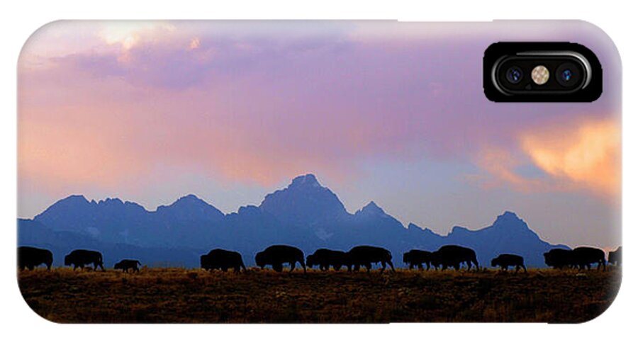 Bison iPhone X Case featuring the photograph Bison March by Patrick J Osborne