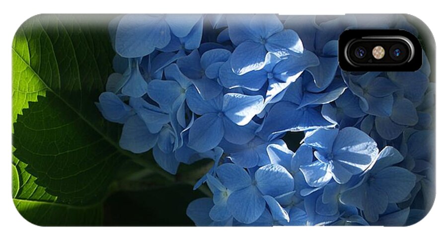 Flower iPhone X Case featuring the photograph Blue Hydrangea in Sunlight and Shadow by Anna Lisa Yoder