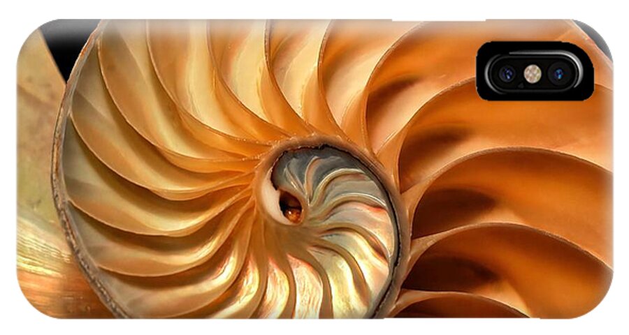 Balance iPhone X Case featuring the photograph Brilliant Nautilus by Phil Cardamone