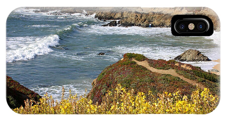 California iPhone X Case featuring the photograph California Coast Overlook by Carol Groenen