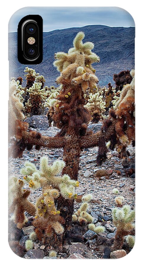 Joshua Tree National Park iPhone X Case featuring the photograph Cholla Cactus Garden Portrait by Kyle Hanson