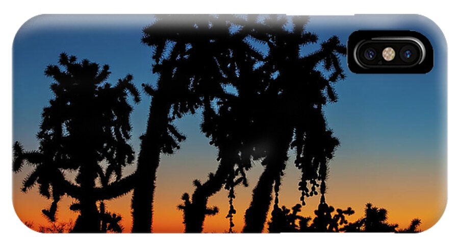 American Southwest iPhone X Case featuring the photograph Cholla Silhouettes by Rick Furmanek