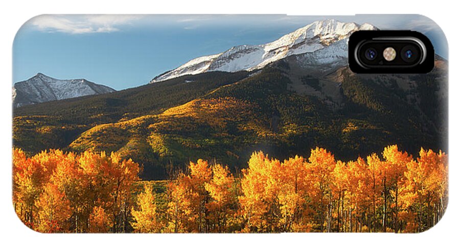 Aspen iPhone X Case featuring the photograph Colorado Gold by Darren White