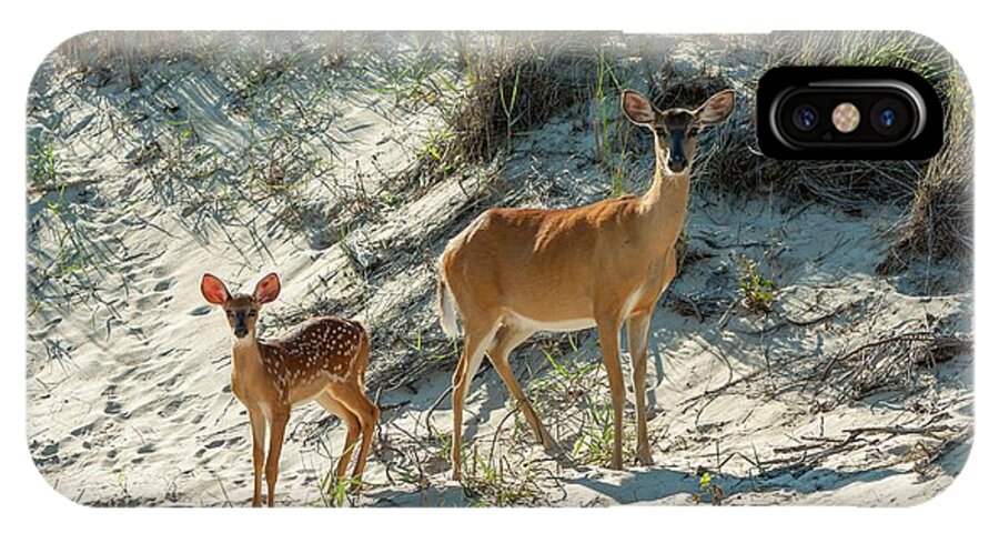 Dunes iPhone X Case featuring the photograph Doe and Fawn by Liza Eckardt