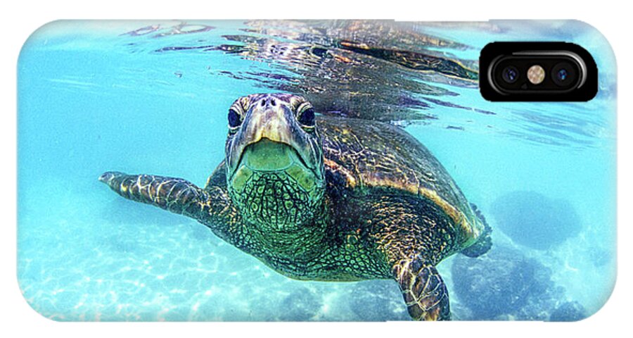 Sea iPhone X Case featuring the photograph friendly Hawaiian sea turtle by Sean Davey