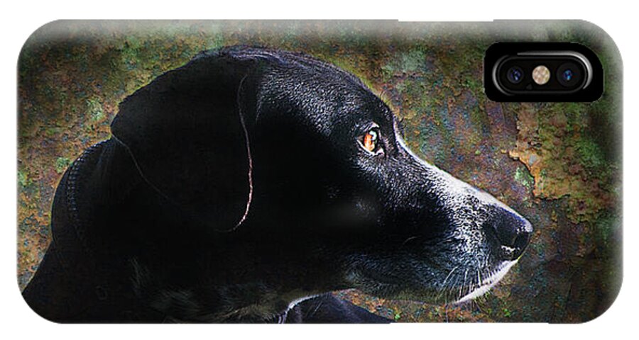 Dog Image Print iPhone X Case featuring the photograph Jazz's Portrait by David Davies
