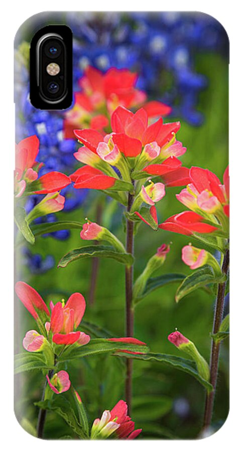 America iPhone X Case featuring the photograph Lone Star Blooms by Inge Johnsson