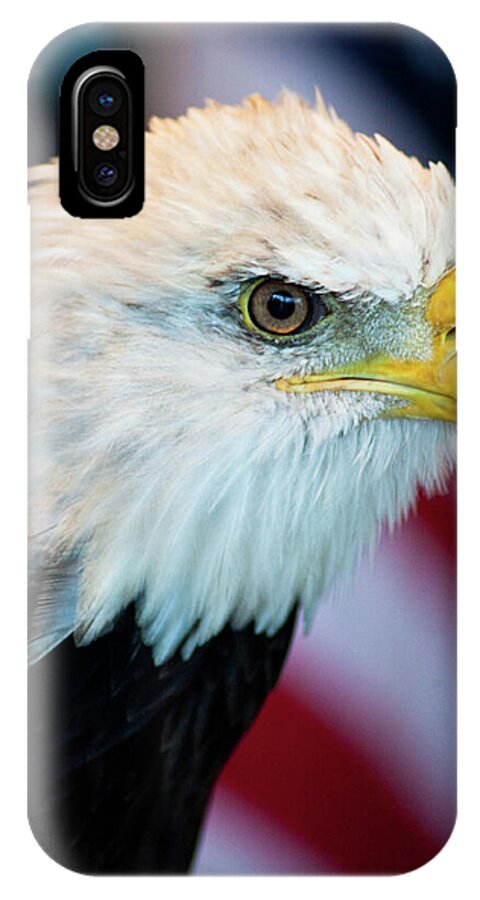 Eagle Portrait iPhone X Case featuring the photograph Majestic Bald Eagle by Wayne Moran