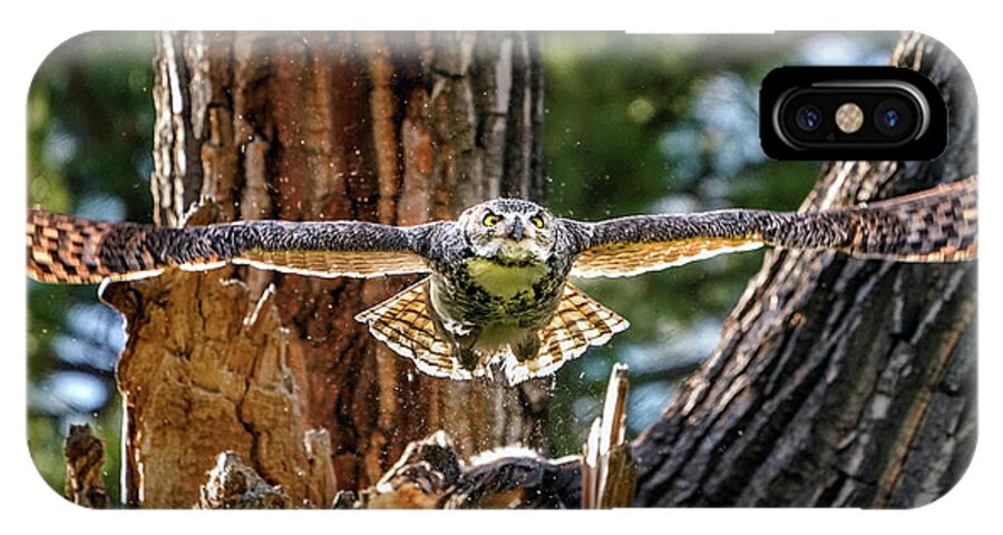 Great Horned Owls iPhone X Case featuring the photograph Momma Great Horned Owl Blasting out of the Nest by Judi Dressler