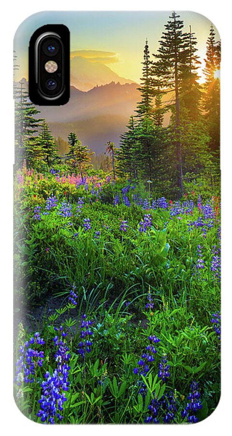 America iPhone X Case featuring the photograph Mount Rainier Sunburst by Inge Johnsson