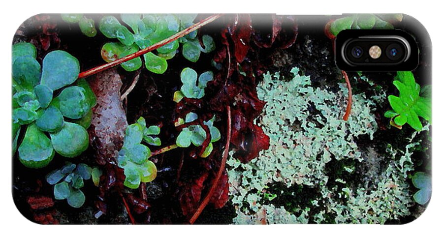 Lichen iPhone X Case featuring the photograph Natural Still Life #5 by Larry Bacon