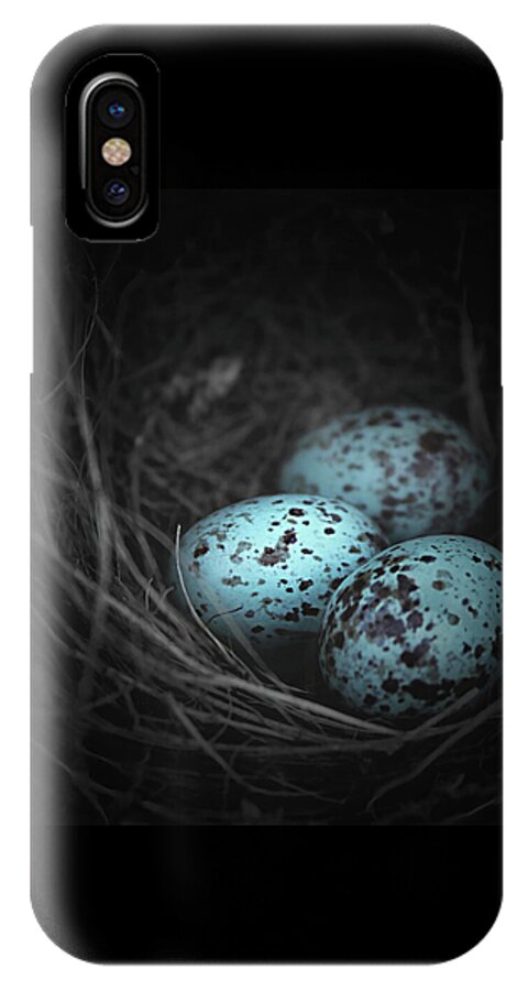 Bird's Nest iPhone X Case featuring the photograph Nest of 3 by Trish Mistric