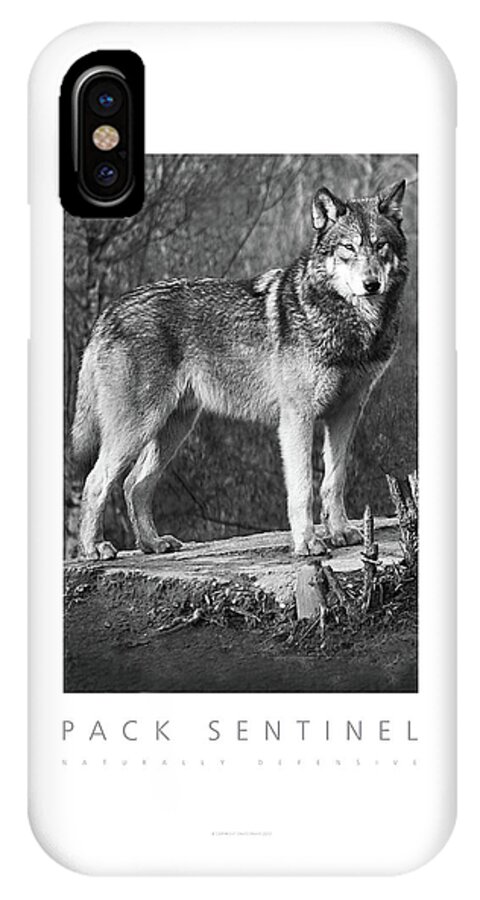 Wolf iPhone X Case featuring the digital art Pack Sentinel Naturally Defensive Poster by David Davies