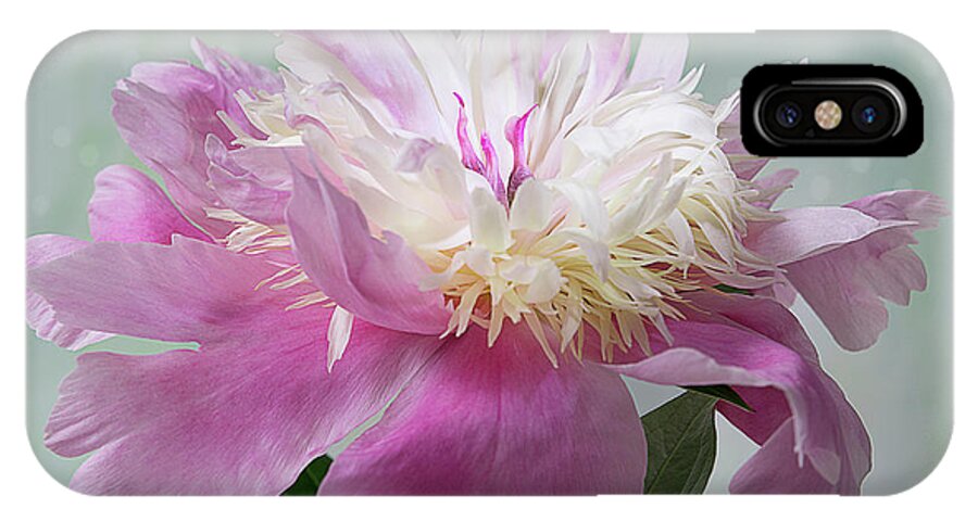 Flower iPhone X Case featuring the photograph Pink and White Peony by Patti Deters
