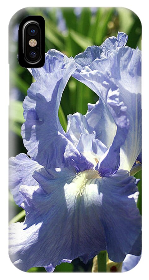Purple Bearded Iris iPhone X Case featuring the photograph Purple Bearded Iris by Ellen Henneke