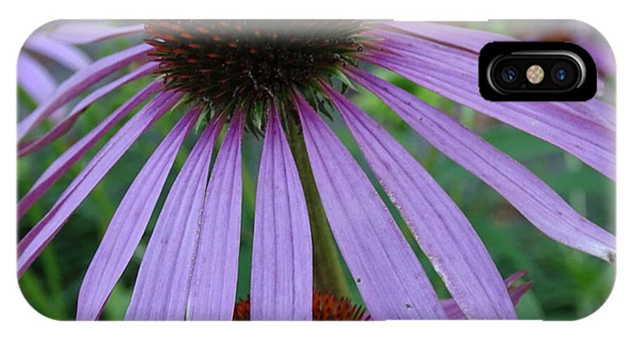 Purple Cone Flower iPhone X Case featuring the photograph Purple by Mary Halpin