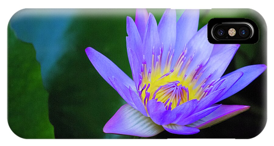 Exotic Flower iPhone X Case featuring the photograph Purple Water Lily by Christi Kraft