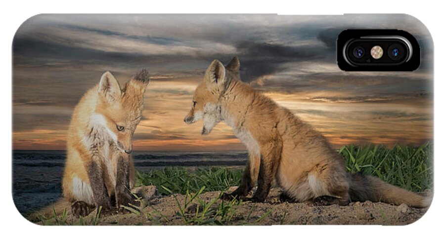 Fox iPhone X Case featuring the photograph Red Fox Kits - Past Curfew by Patti Deters