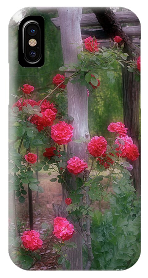 Elaine Teague iPhone X Case featuring the photograph Red Rose Dream by Elaine Teague