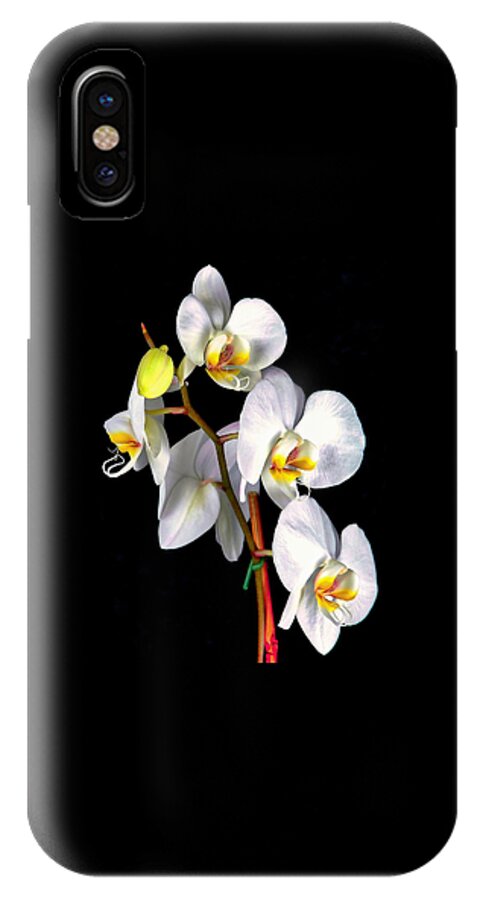 Orchids iPhone X Case featuring the photograph Sara Ella by Elf EVANS