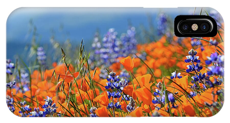 California iPhone X Case featuring the photograph Sea of California Wildflowers by Kyle Hanson