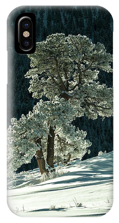 Colorado iPhone X Case featuring the photograph Snow covered tree - 9182 by Jerry Owens