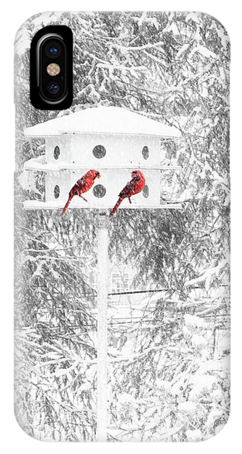 Snow iPhone X Case featuring the photograph Snowbirds by Geoff Crego