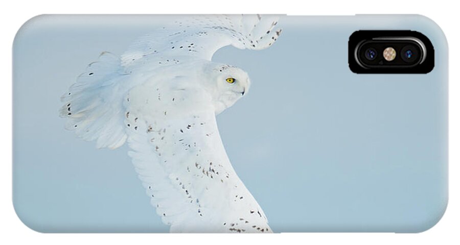 Owls iPhone X Case featuring the photograph Snowy Against Blue Sky by CR Courson