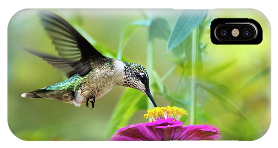 Hummingbird iPhone X Case featuring the photograph Sweet Success by Christina Rollo