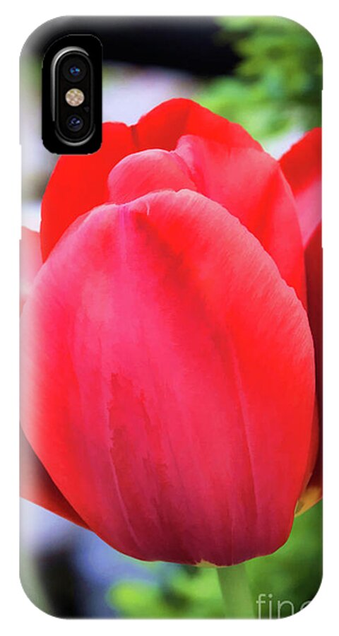Macro iPhone X Case featuring the photograph The Tulip Beauty by Roberta Byram