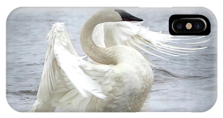 Swan iPhone X Case featuring the photograph Trumpeter Swan - Misty Display 2 by Patti Deters