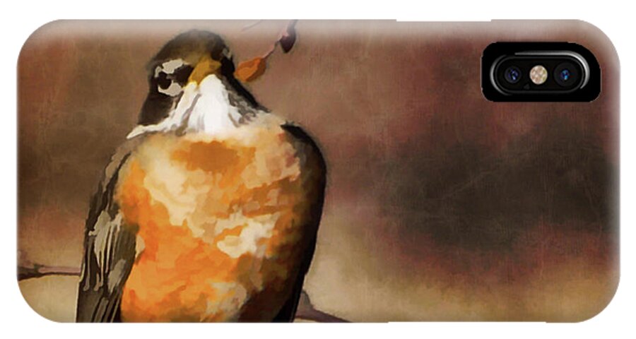 Waiting For Spring iPhone X Case featuring the painting Waiting For Spring by Jordan Blackstone