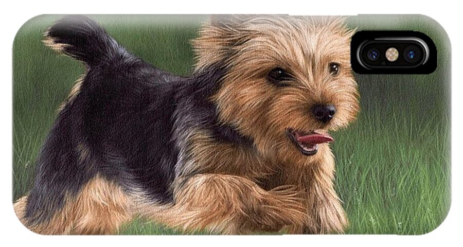 Dog iPhone X Case featuring the painting Yorkshire Terrier Painting by Rachel Stribbling