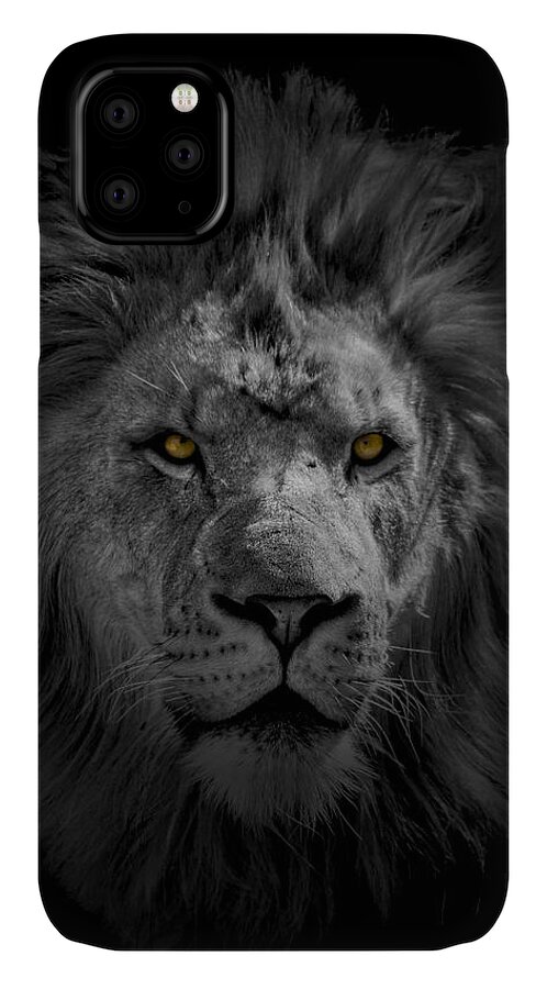 Africa iPhone 11 Case featuring the photograph African Lion #1 by Peter Lakomy