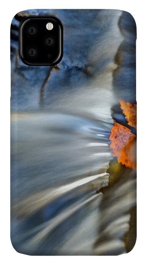 Fall Leaves iPhone 11 Case featuring the photograph Autumn Color Caught in Time #4 by John Magyar Photography