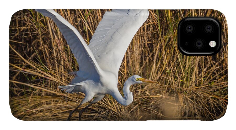 Screensaver iPhone 11 Case featuring the photograph Flying White Egret #1 by Gregory Daley MPSA