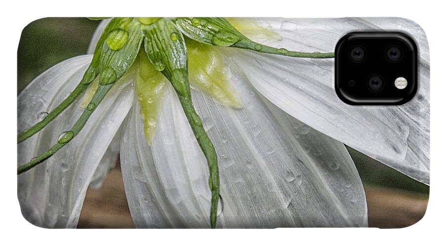 Macro iPhone 11 Case featuring the photograph Got Ya #1 by Barry Weiss