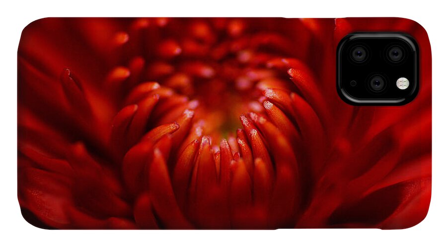 Photograph iPhone 11 Case featuring the photograph Mum #1 by Larah McElroy