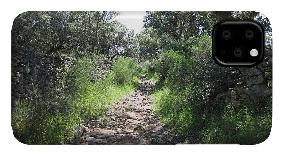 Path iPhone 11 Case featuring the photograph Path near Almoharin #1 by Chani Demuijlder