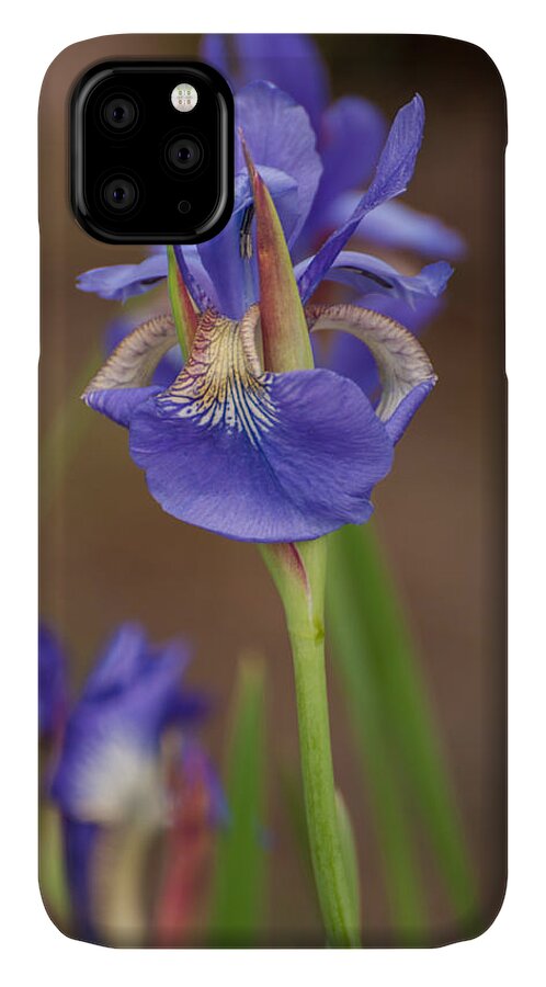 Bearded Iris iPhone 11 Case featuring the photograph Purple Bearded Iris #1 by Brenda Jacobs