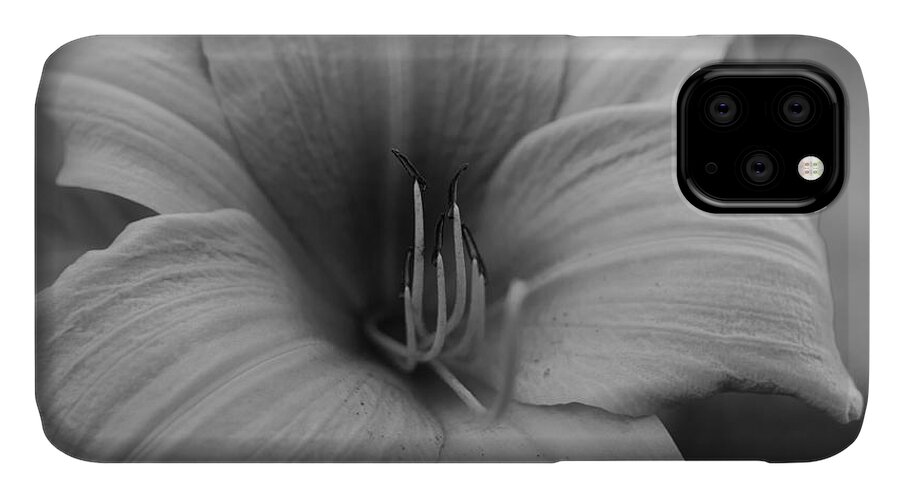 Floral iPhone 11 Case featuring the photograph Single Spring Flower by Miguel Winterpacht