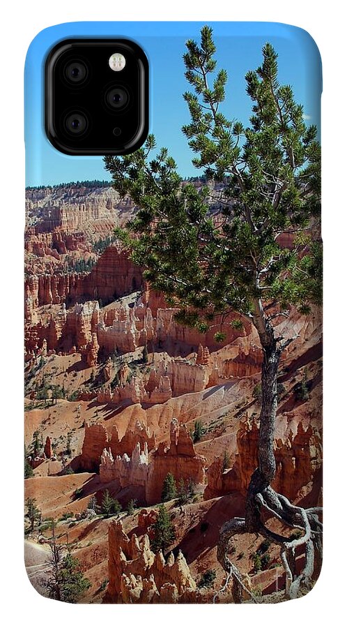 Bryce Canyon iPhone 11 Case featuring the photograph Twisted by Jemmy Archer